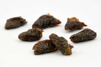 Produkt Test Titelbild