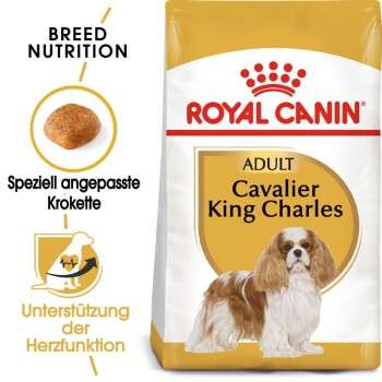 tests-Royal Canin Cavalier King Charles Adult-Bild