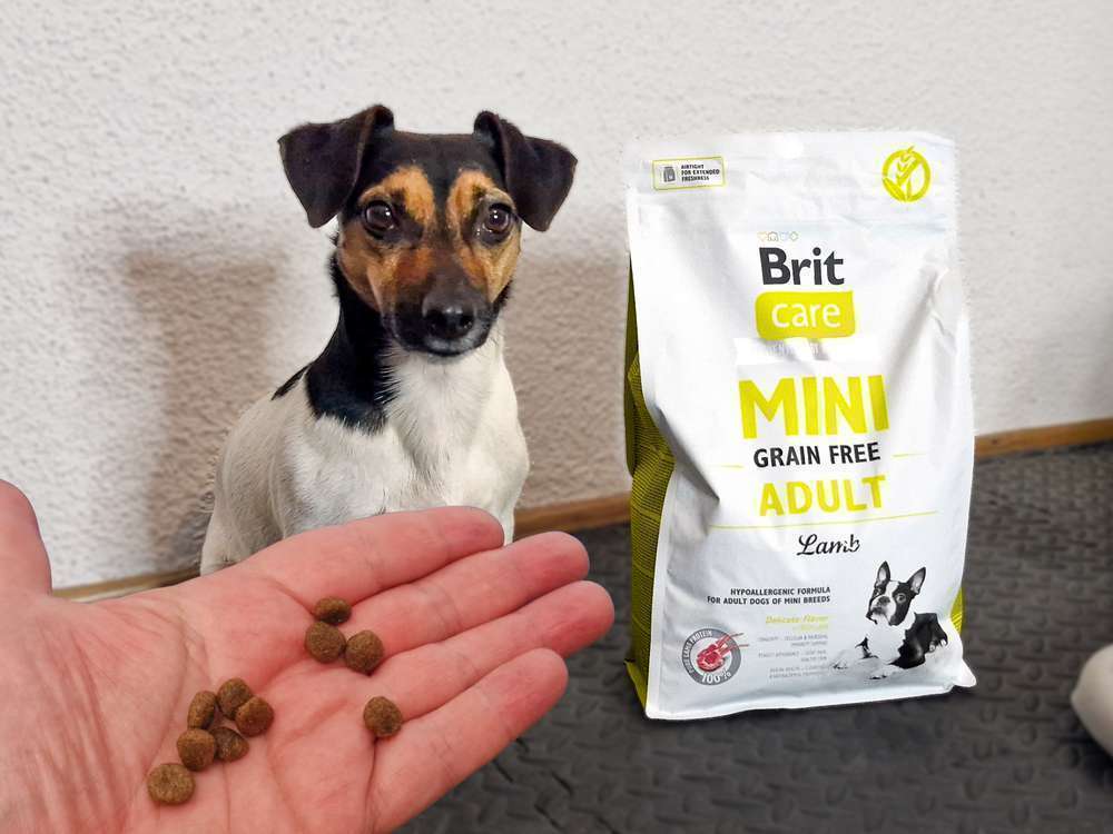 tests-Getreidefreies Trockenfutter für kleine Hunde - Brit Care Mini Grain Free Adult Lamm im Test | inklusive Erfahrungen & Tierarzt Bewertung-Bild