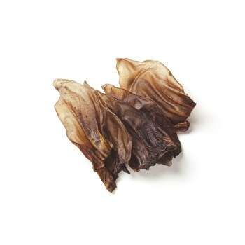 Produkt Test Titelbild