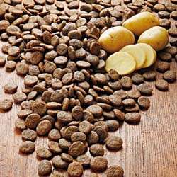 Produkt Test Titelbild