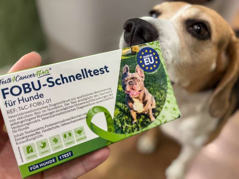 Blut im Kot erkennen mit FOBU Schnelltest, Hund mit FOBU Packung