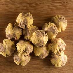 Produkt Test Titelbild