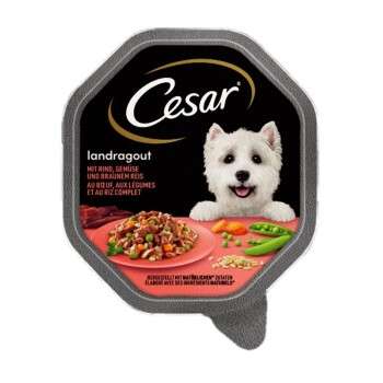 Produkt Test Titelbild