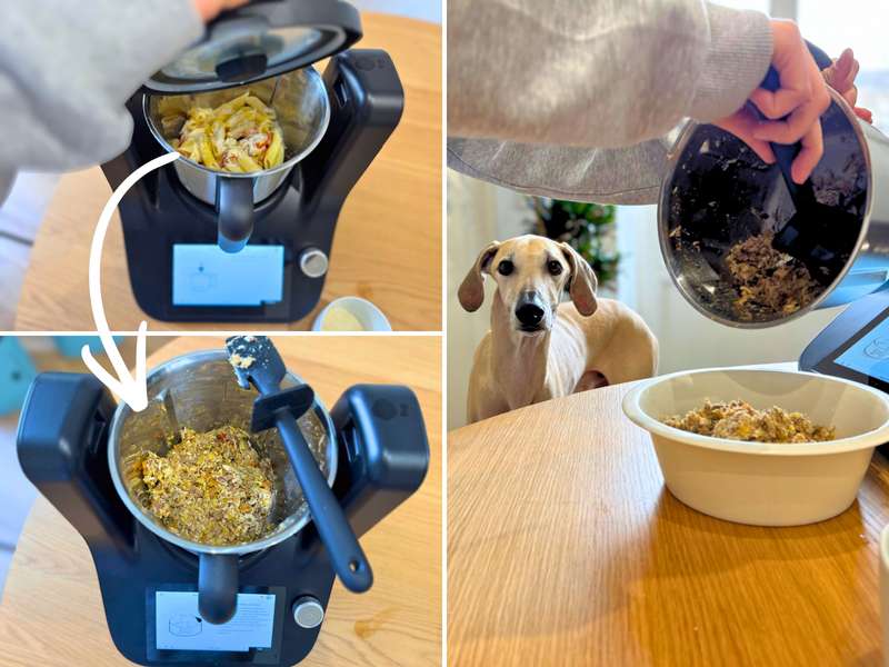 LuckyChef CookA Erfahrungen