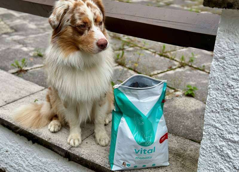 Luki mit dem geöffneten Trockenfutter Beutel