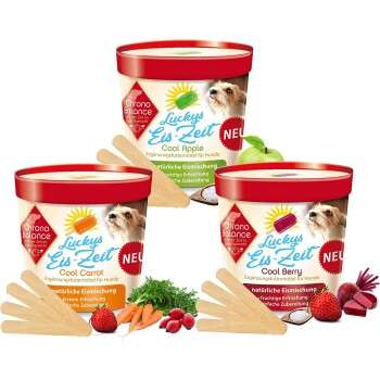 Produkt Test Titelbild