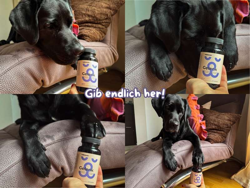 Sali mit den subosan Gelenktabletten, Collage
