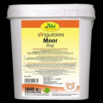 Produkt Test Titelbild