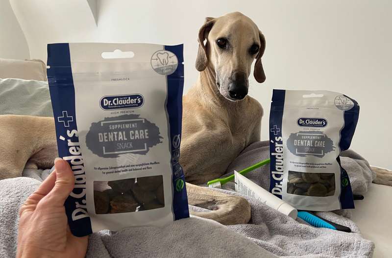 Nadir mit dem Dental Care Snack von Dr.Clauder&lsquo;s