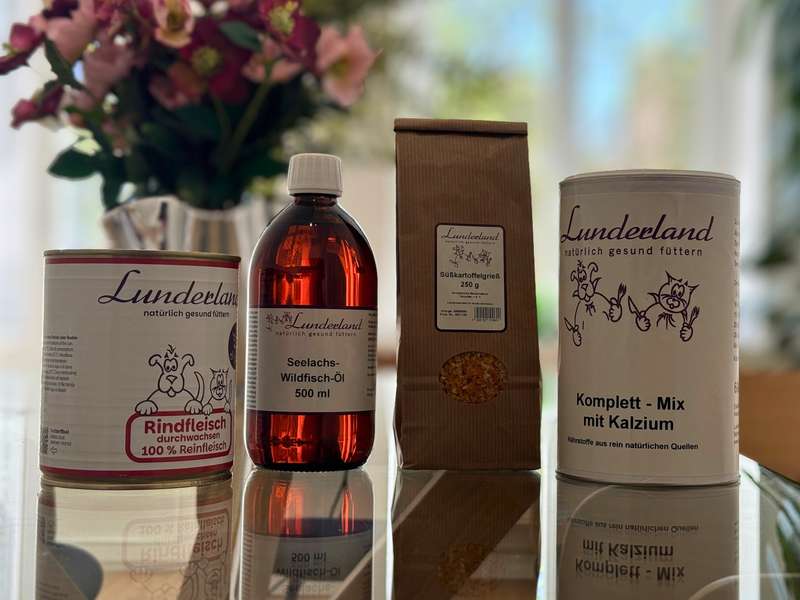 Lunderland Produkte f&uuml;r Hund im Test Erfahrungen - Hund mit dem Men&uuml; von Lunderland 