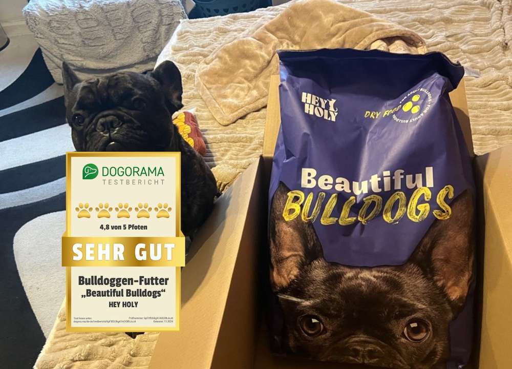 Dogorama Testbericht: HEY HOLY Beautiful Bulldogs - Bewertung von Tierärztin und echten Hundeeltern