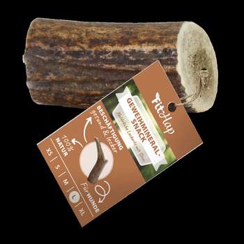 Produkt Test Titelbild