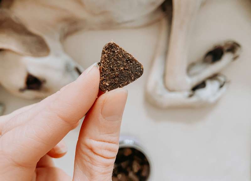 Snack in der Hand, aus der Nähe