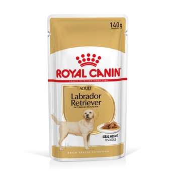 tests-Royal Canin Labrador Retriever Adult in Soße-Bild