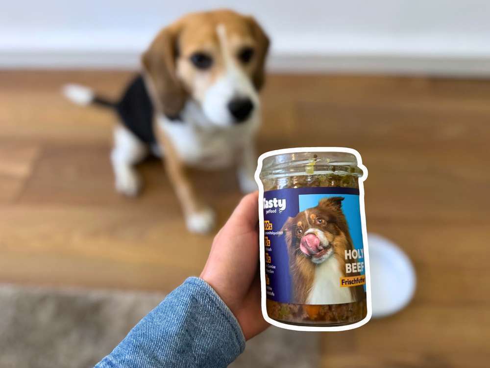 Tasty Petfood Holy Beef im Test – Frischfutter ohne Getreide im Glas für Hunde | mit Tierarzt-Check