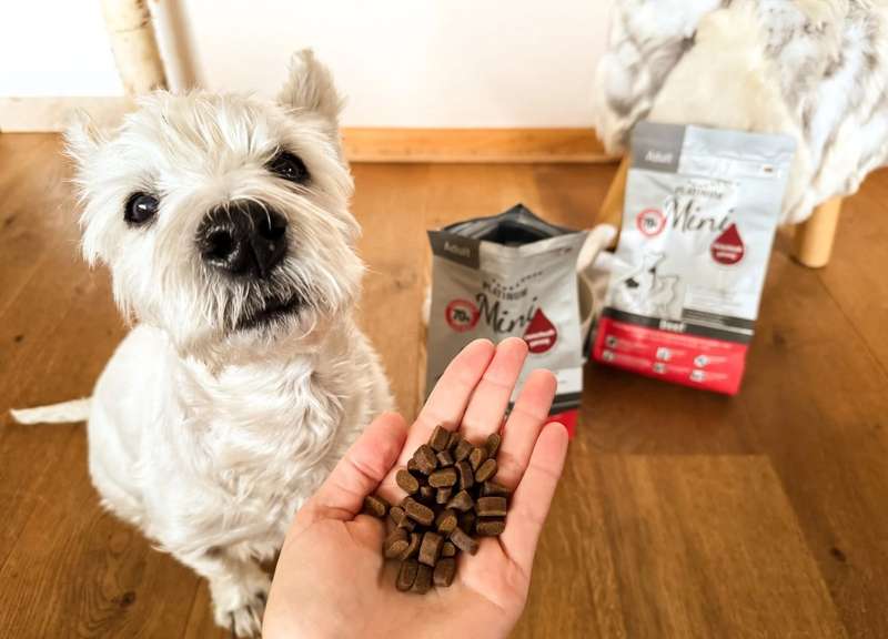 Romeo mit den PLATINUM Futtersäcken, Trockennahrung in der Hand