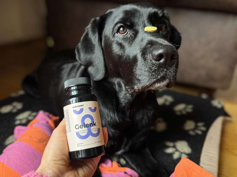  Sali mit den subosan Gelenktabletten 