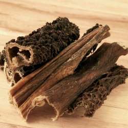 Produkt Test Titelbild