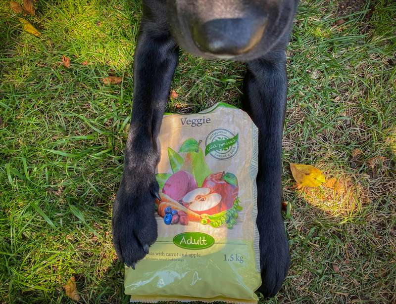 Das kaltgepresste, vegane Trockenfutter im Test