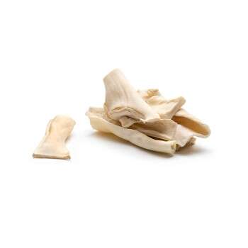 Produkt Test Titelbild