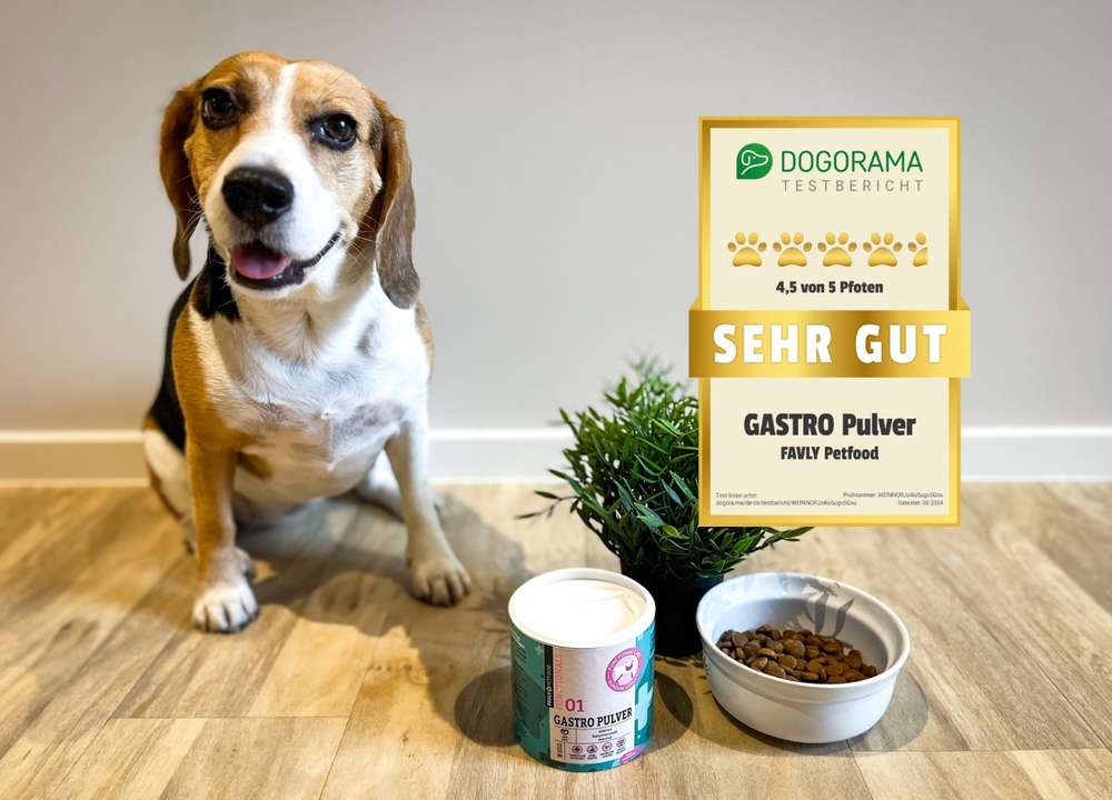 tests-Dogorama testet das GASTRO Pulver von FAVLY Petfood | mit Tierarzt- und Community-Bewertung -Bild