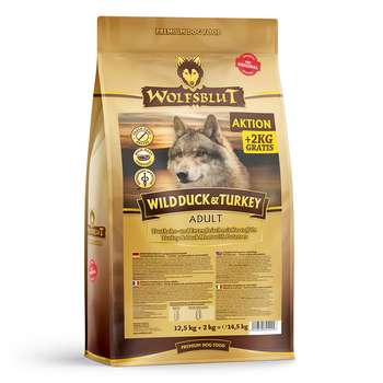 Produkt Test Titelbild