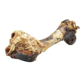 Produkt Test Titelbild