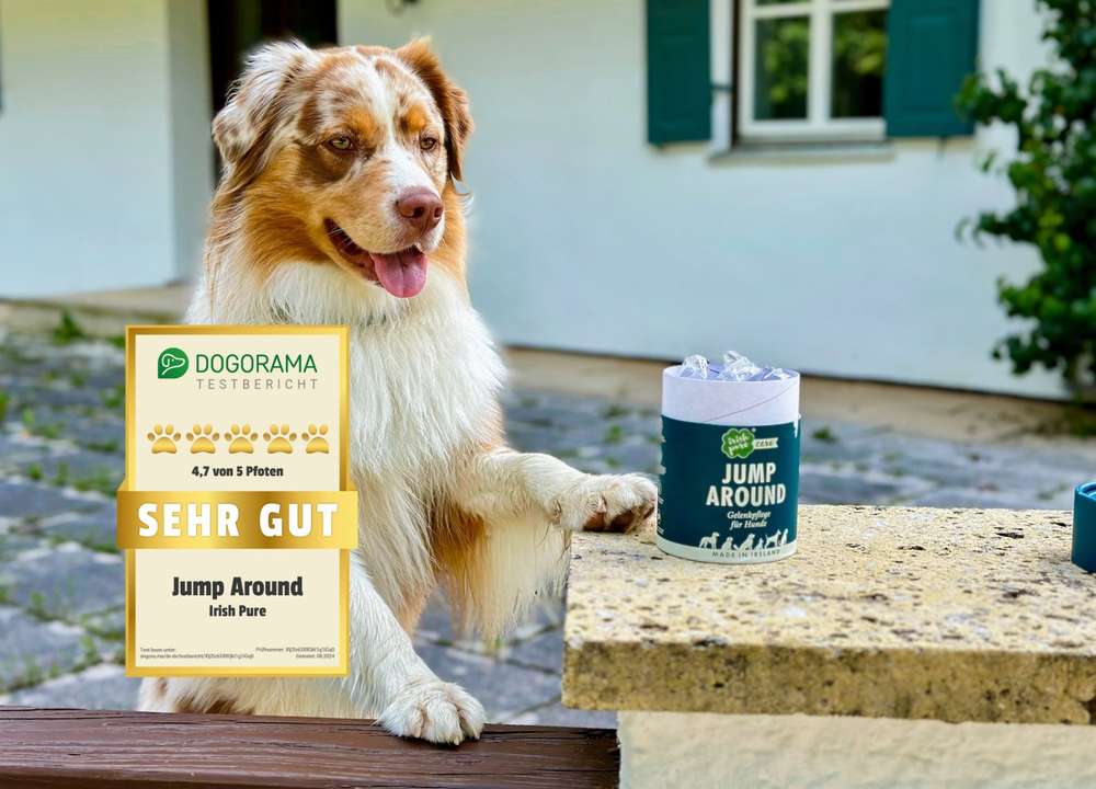 tests-Dogorama Erfahrungen und Test von Irish Pure Jump Around Nahrungsergänzungsmittel Snacks-Bild