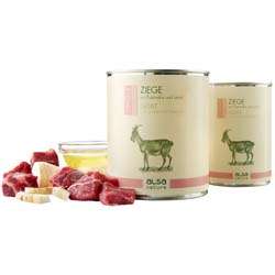 Produkt Test Titelbild