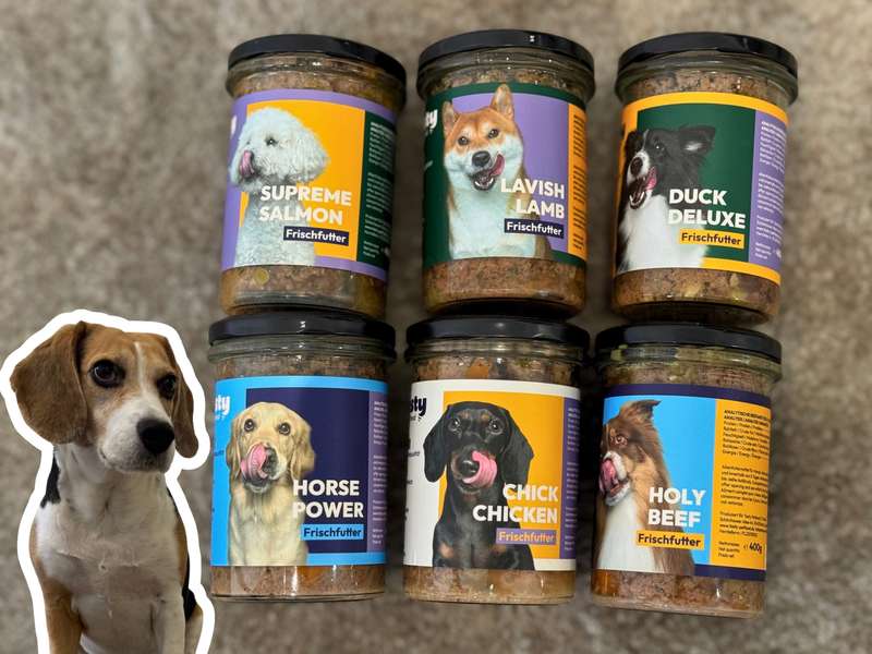Tasty Petfood Frischfutter im Glas Holy Beef im Test Sorten