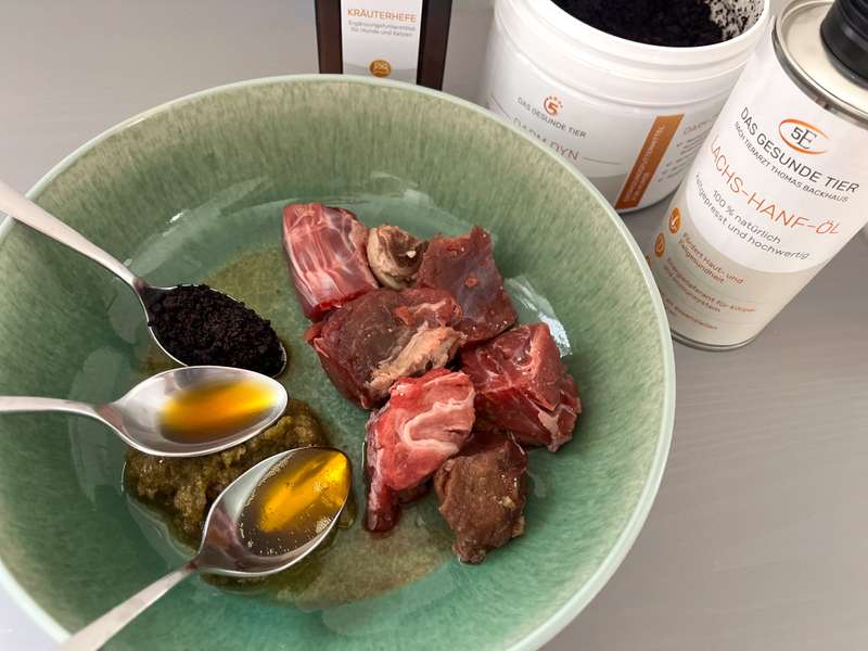 Darmsanierung mit Darmkur &uuml;ber BARF Futter f&uuml;r Kaya