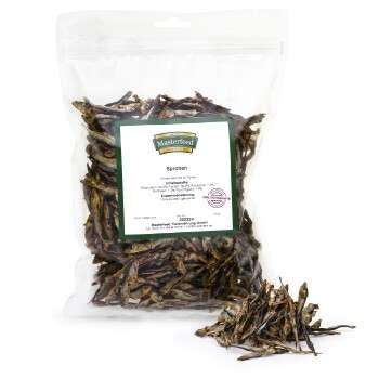 Produkt Test Titelbild