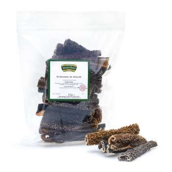 Produkt Test Titelbild