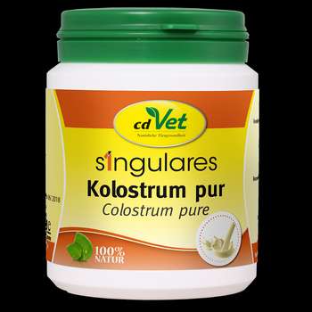 Produkt Test Titelbild