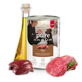 Produkt Test Titelbild