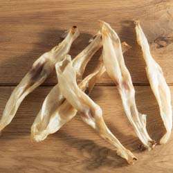 Produkt Test Titelbild