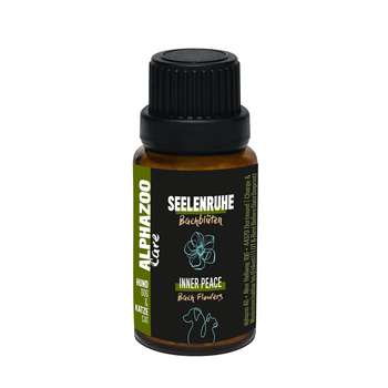 Produkt Test Titelbild