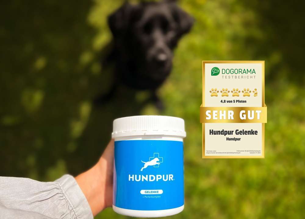 tests-Dogorama Test und Bewertung von Hundpur® Gelenke mit Perlenkomplex-Bild