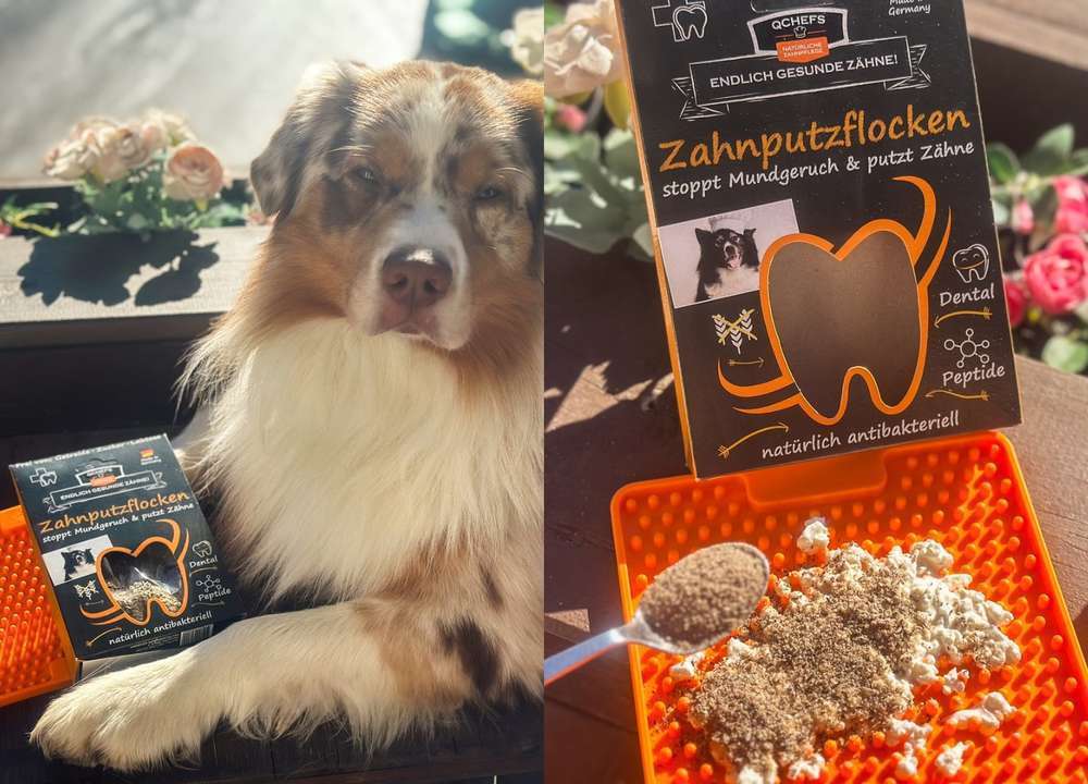 tests-Die Zahnputzflocken von QCHEFS: Erfahrungen, Testbericht und Tierarztmeinung-Bild