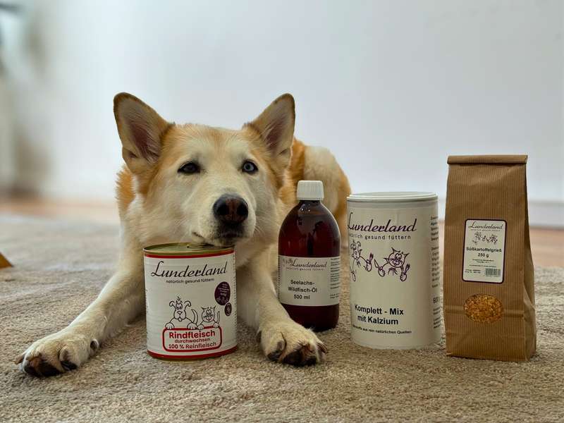 Lunderland Produkte f&uuml;r Hund im Test Erfahrungen - Hund mit dem Men&uuml; von Lunderland 