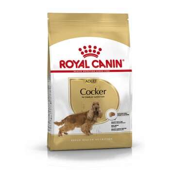 tests-Royal Canin Cocker Adult-Bild