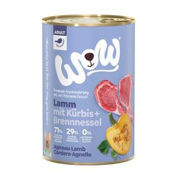 tests-Wow Adult Lamm mit Kürbis-Bild