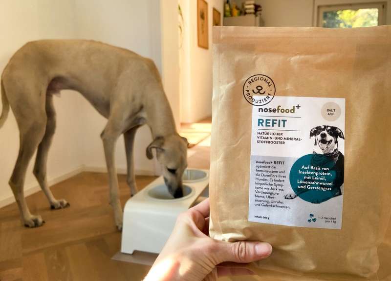 Tadashi mit frisst, davor die nosefood Tüte