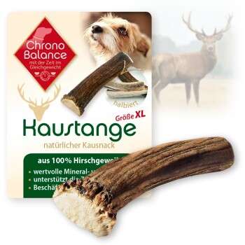 Produkt Test Titelbild