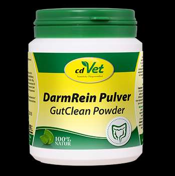 Produkt Test Titelbild