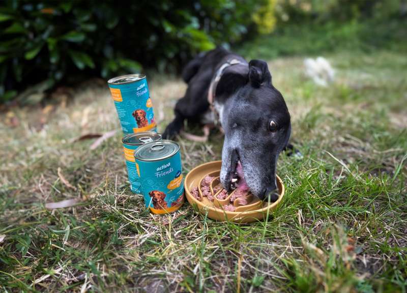 Newton isst das activaFriendsNF