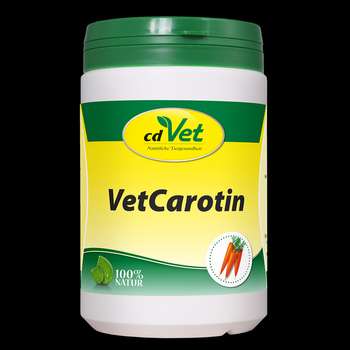 Produkt Test Titelbild