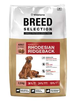 tests-Wildsterne Breed Selection Rhodesian Ridgeback-Bild