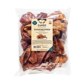 Produkt Test Titelbild